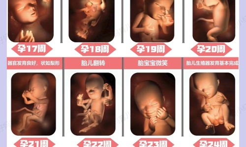 药流孕囊和蜕膜组织排出后肚子还会疼吗-药流孕囊和蜕膜区别网 :分享药流孕囊和蜕膜区别图片-药流后孕囊和脱模一起能排出来吗知识